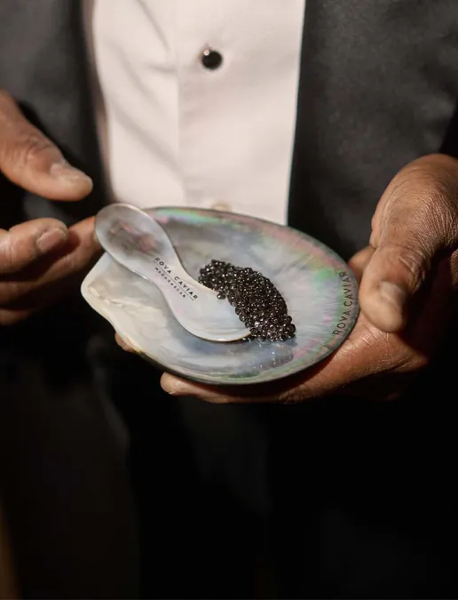 Cabilock Lot De 3 Cuillères à Caviar Inox – Passoires Sphérification Et Service Pour Cuisine Gastronomique Et Œufs De Poisson